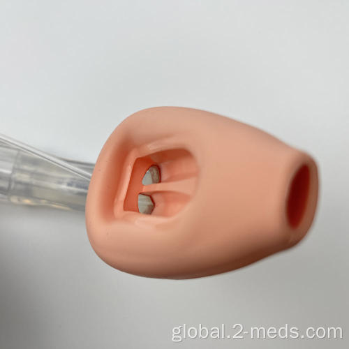 Double Lumen silicone gastric laryngeal mask airway